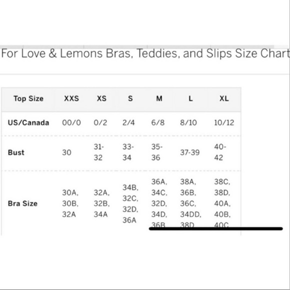 NWT For Love And Lemons Frankie Mini Dress - Picture 7 of 8